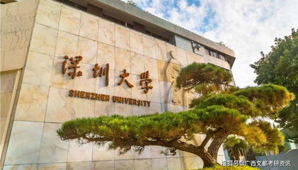 深圳大学考什么