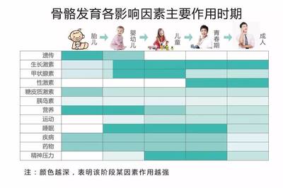 各个年龄段孩子的教育重点