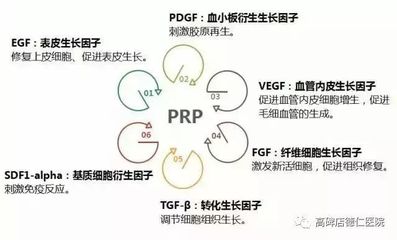 prp项目是什么