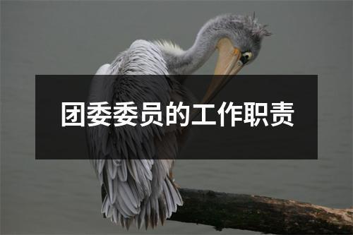 团委委员如何推荐