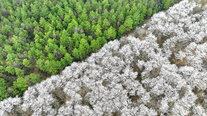 安徽朗溪雪还要下多久