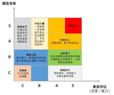 什么是系别