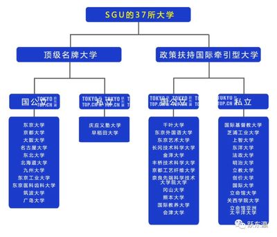 如何申请博士免试