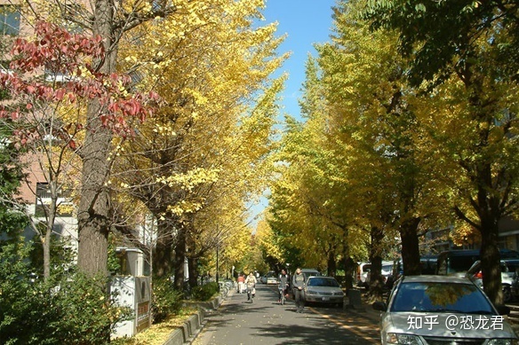 日本京都有什么大学