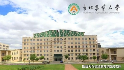 岳什么学院