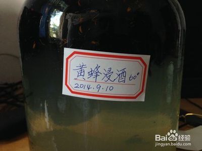 黄牛蜜蜂酒可泡多久