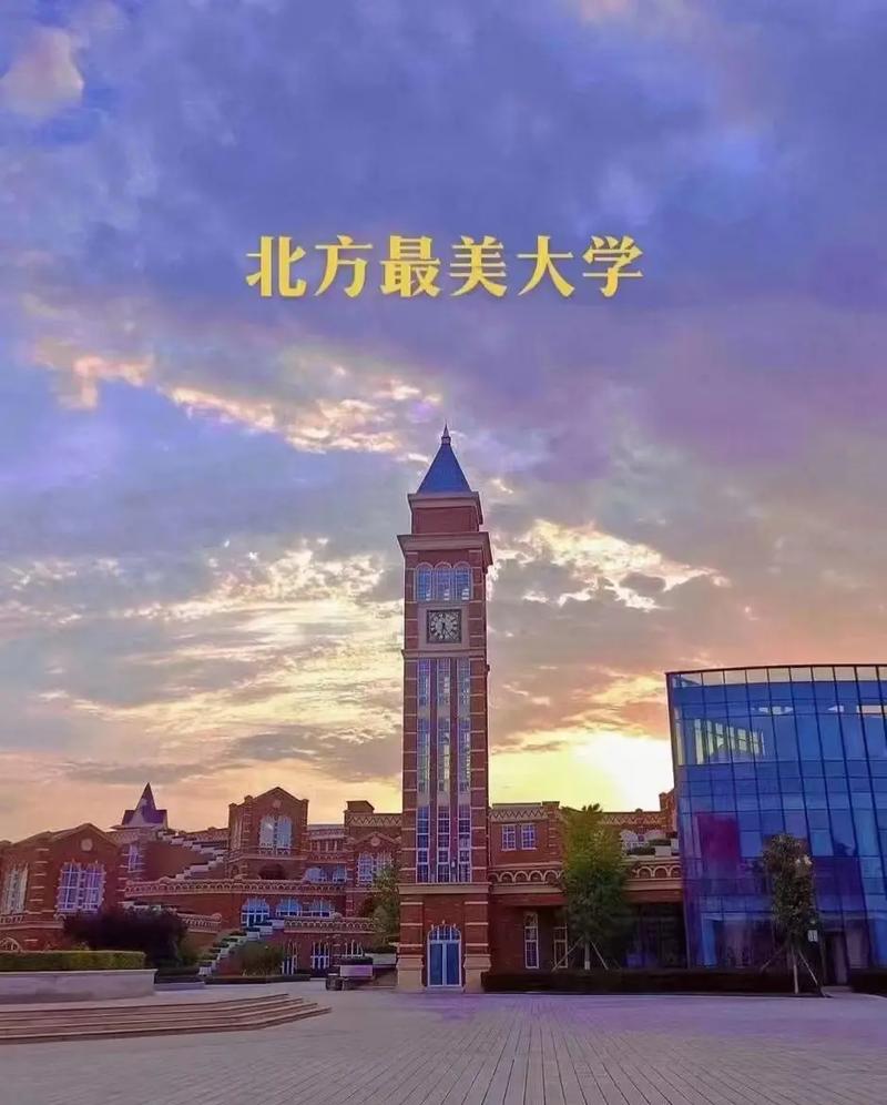 青岛都有什么专科学校