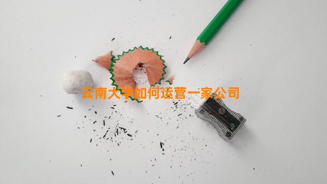 云南大学如何运营一家公司