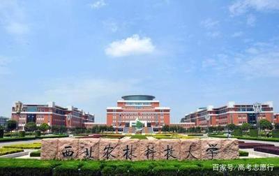 西北农业大学在哪里