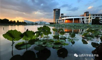 浙江什么大学