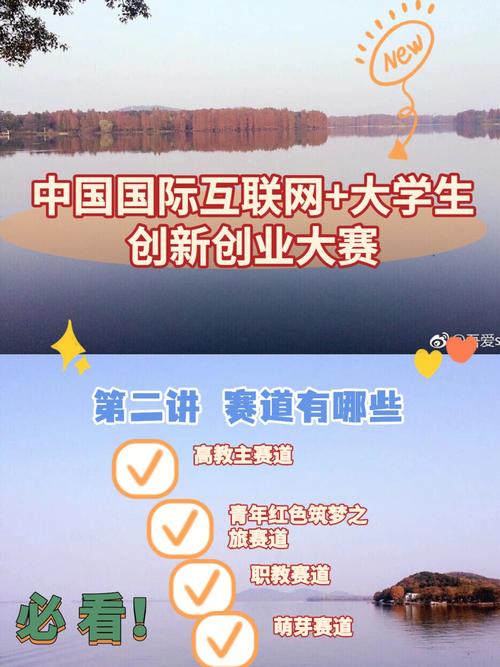 大学生网报是什么类型