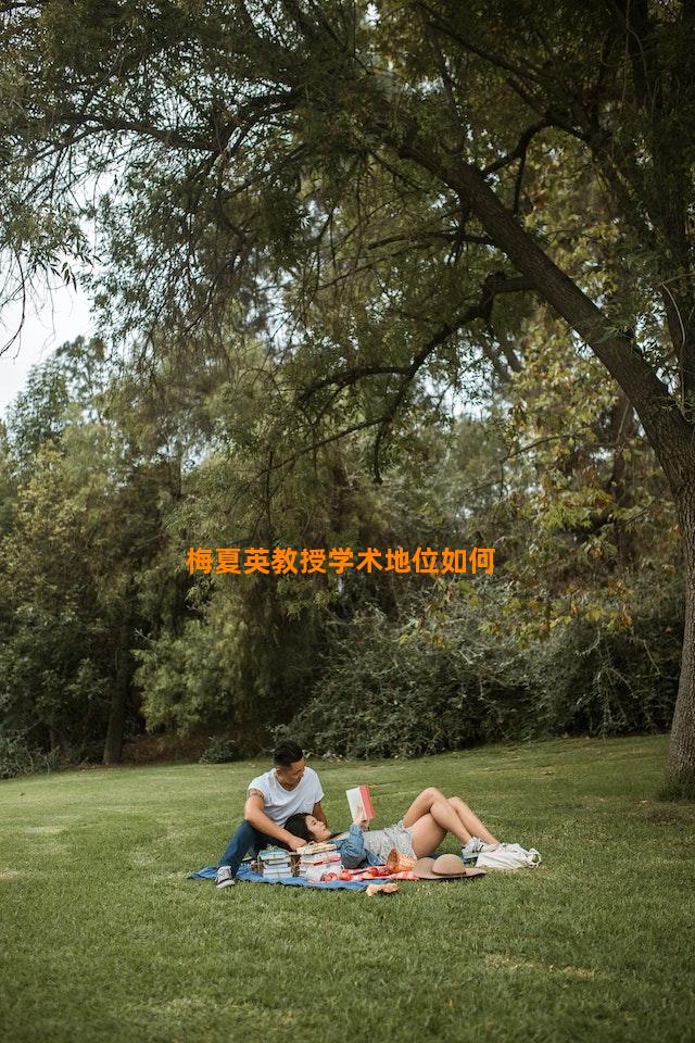 梅夏英教授学术地位如何