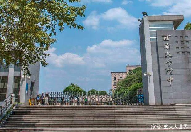 重庆西南什么大学