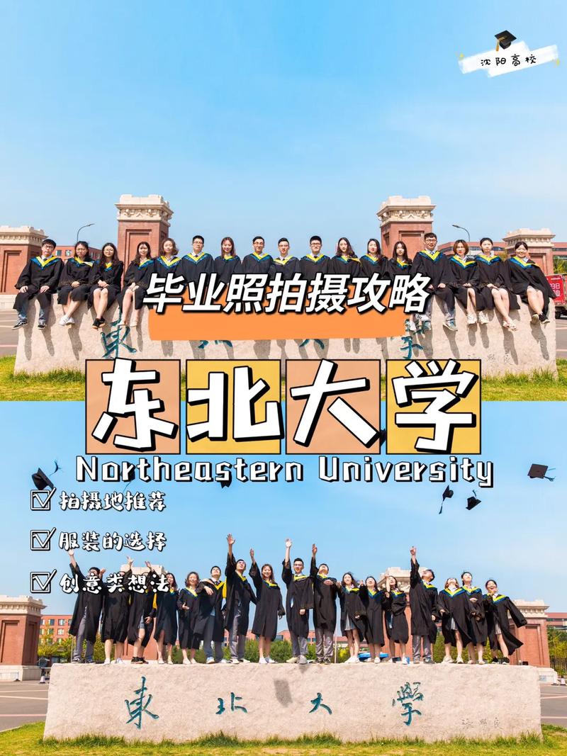 东北大学都有什么系