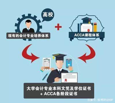 会计学acca方向是什么