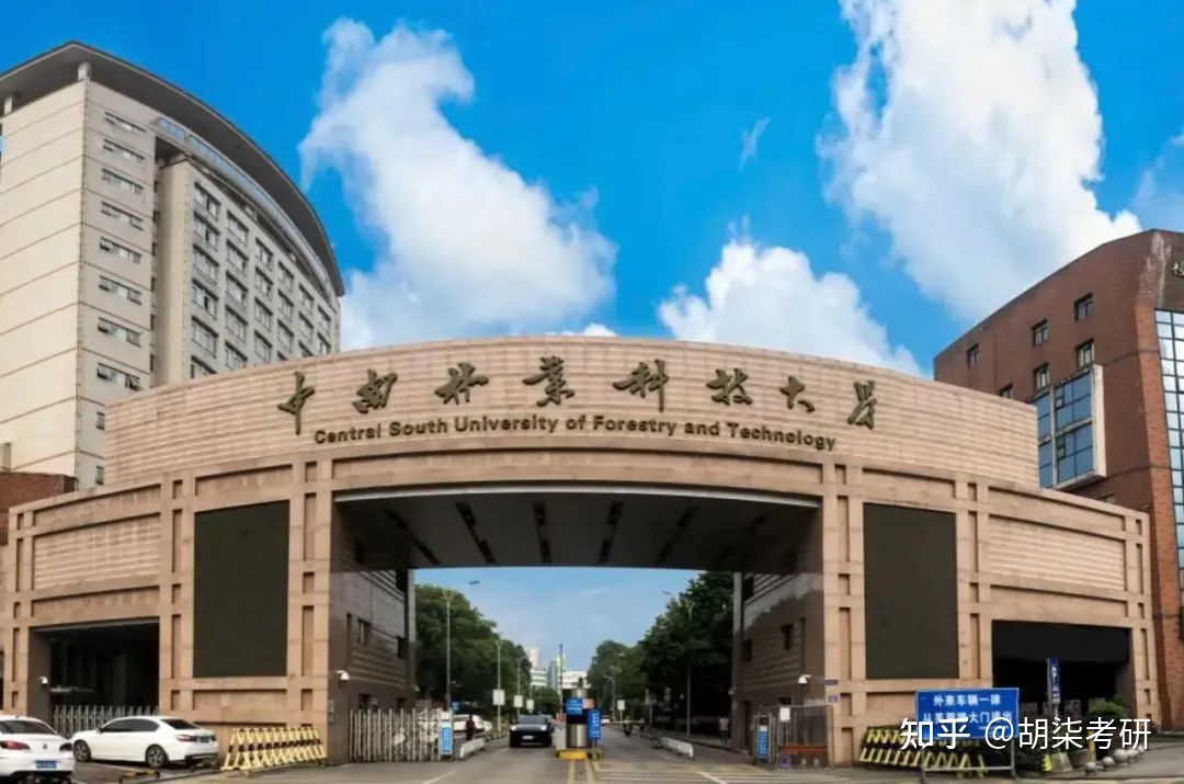 中南大学有什么系