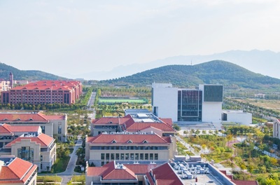 山东什么大学