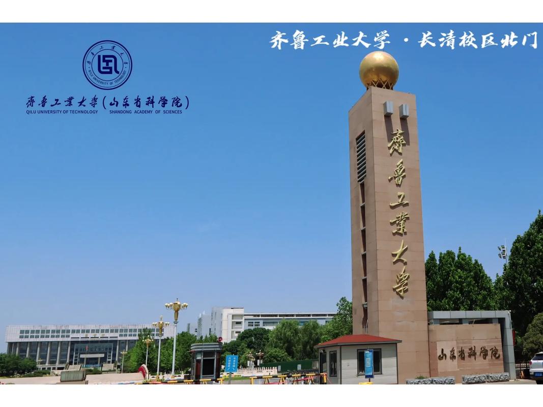 齐鲁什么大学