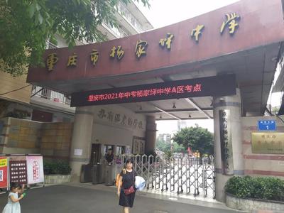 杨家坪附近有什么大学