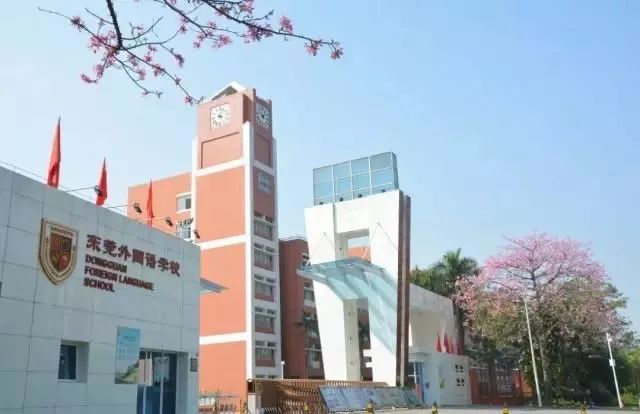 东莞有多少大学