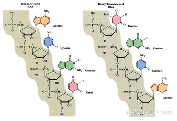 如何学化学生物