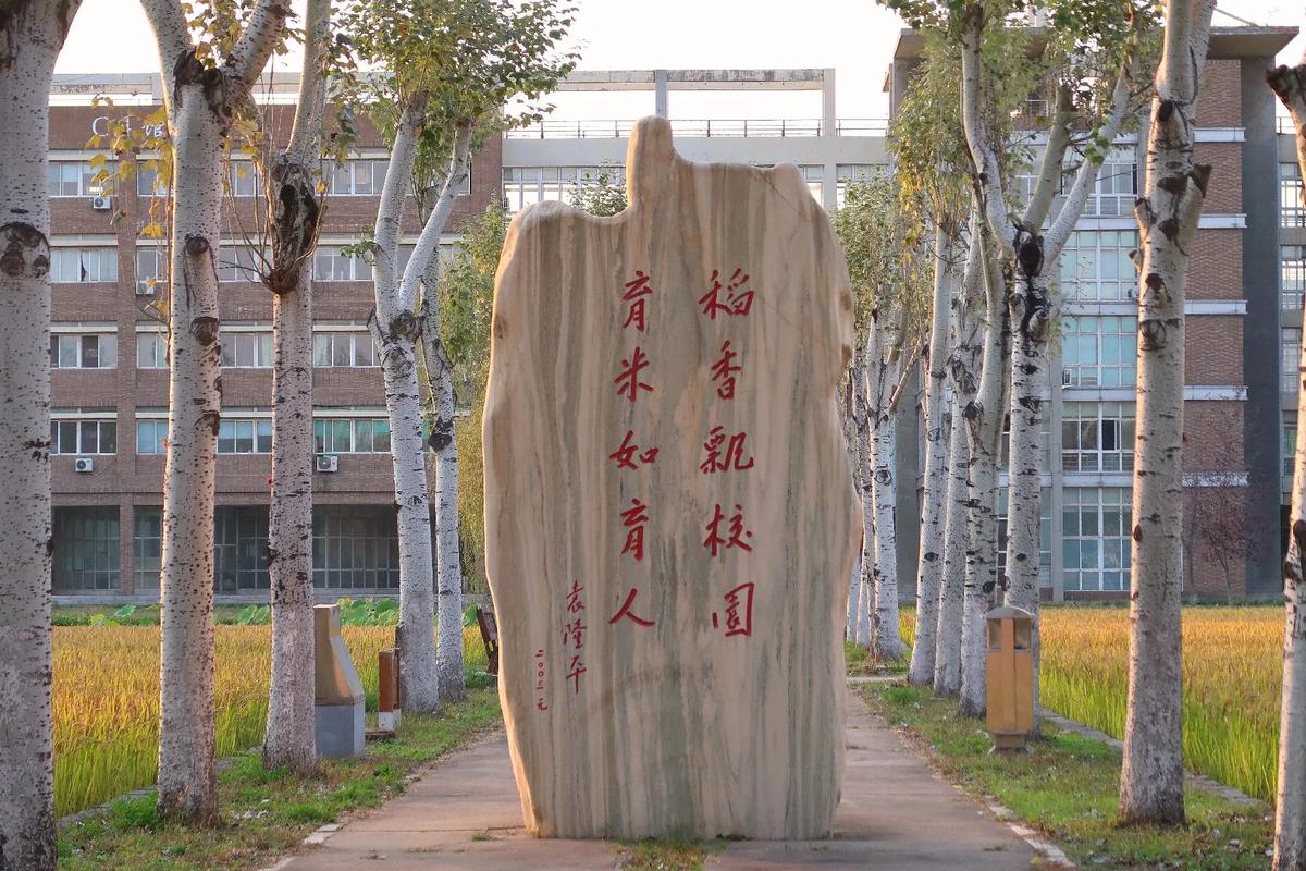 沈阳大学建筑学怎么样