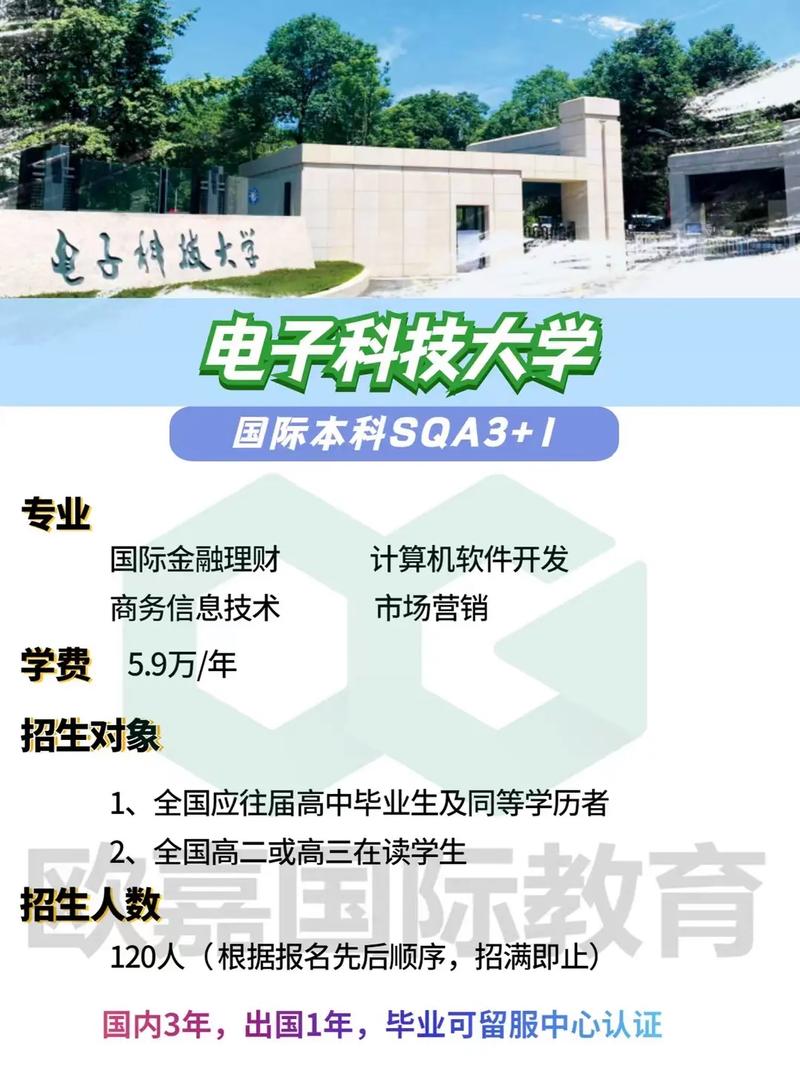 大学学校电子是什么