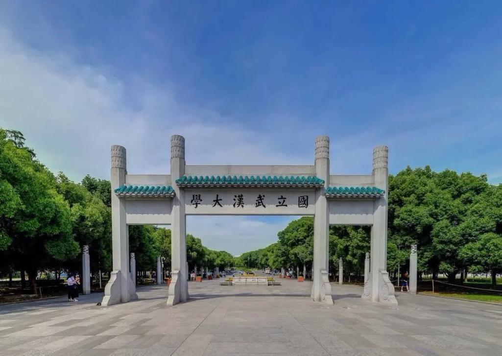 武汉中什么大学