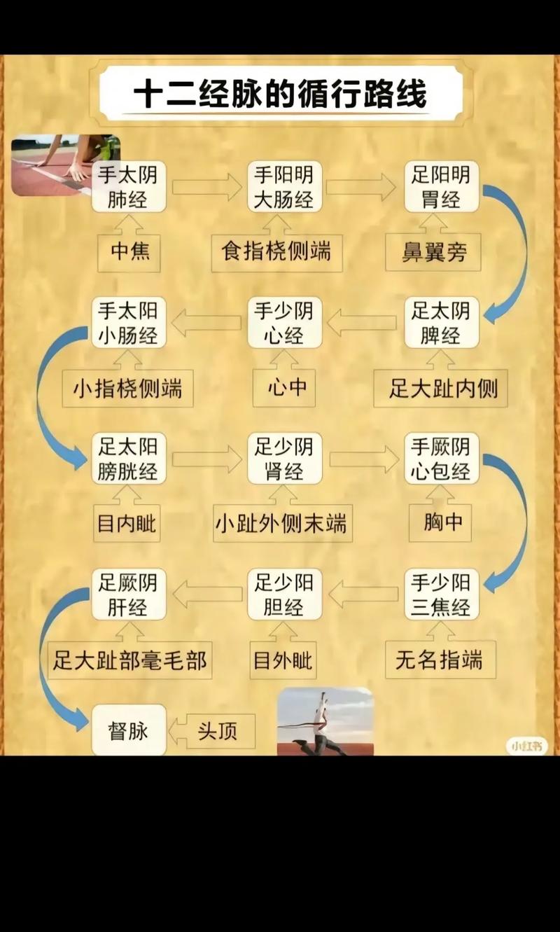 本经外经是指什么