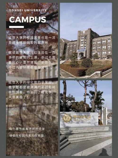 mbbs是什么大学