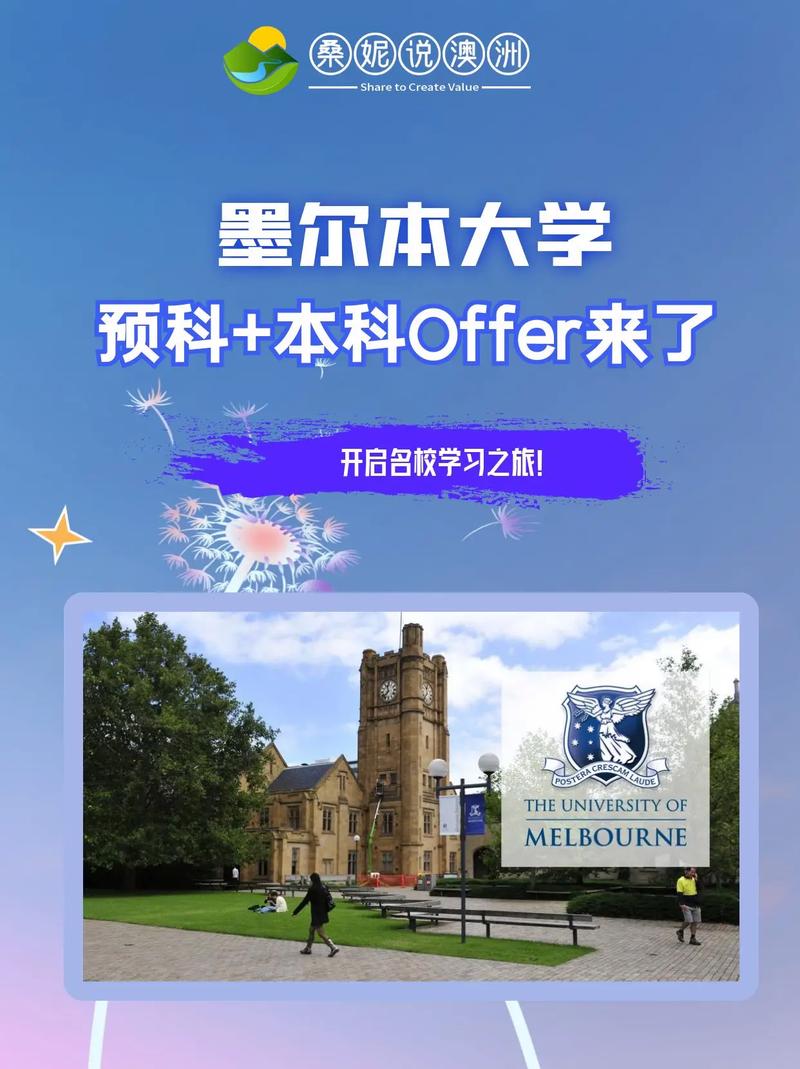 d大是什么大学