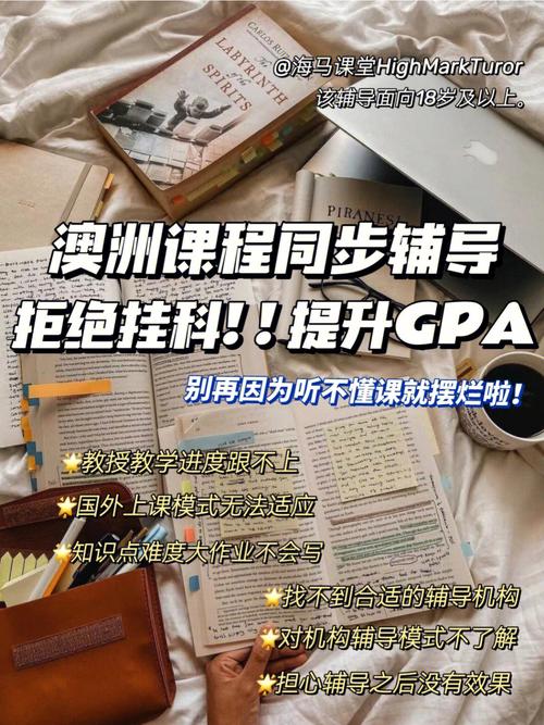 澳洲都学什么课程