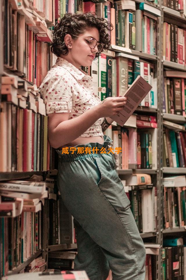 咸宁那有什么大学