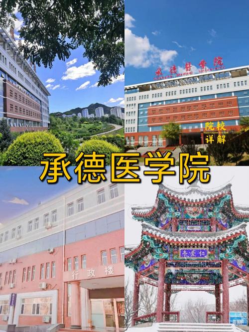 承德医学都有什么学院