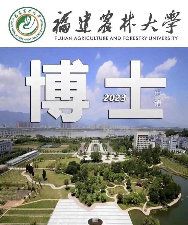 fu是什么大学