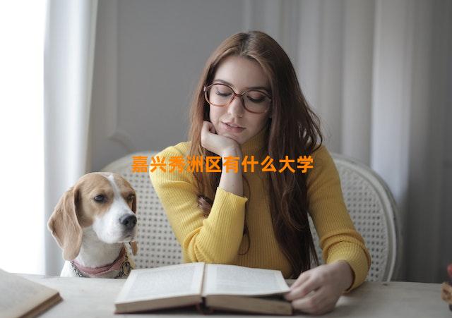 嘉兴秀洲区有什么大学