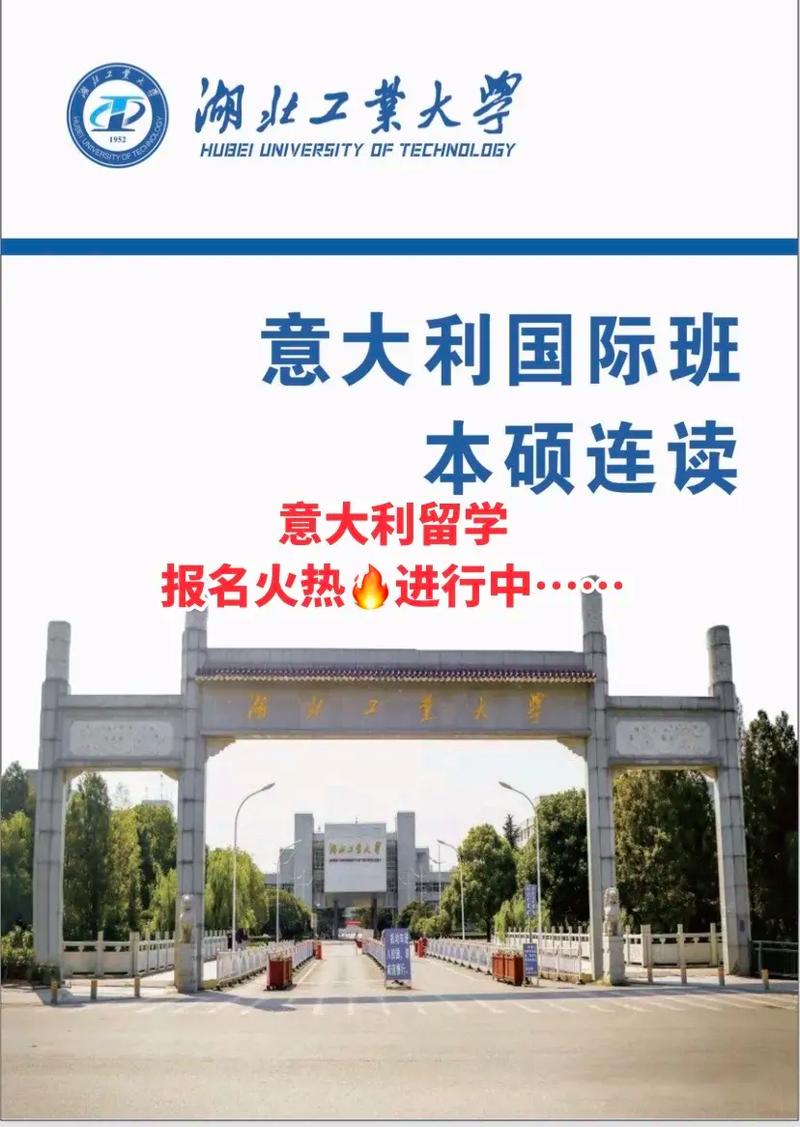 湖北482分读什么大学