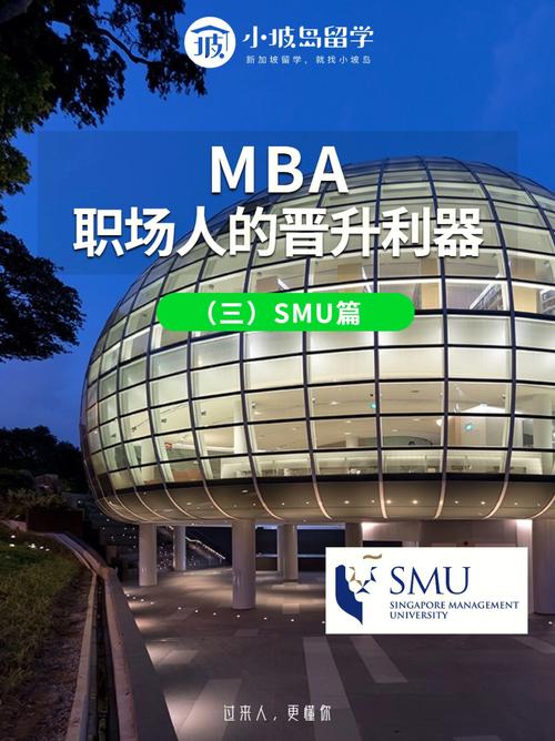 smu商业分析学什么