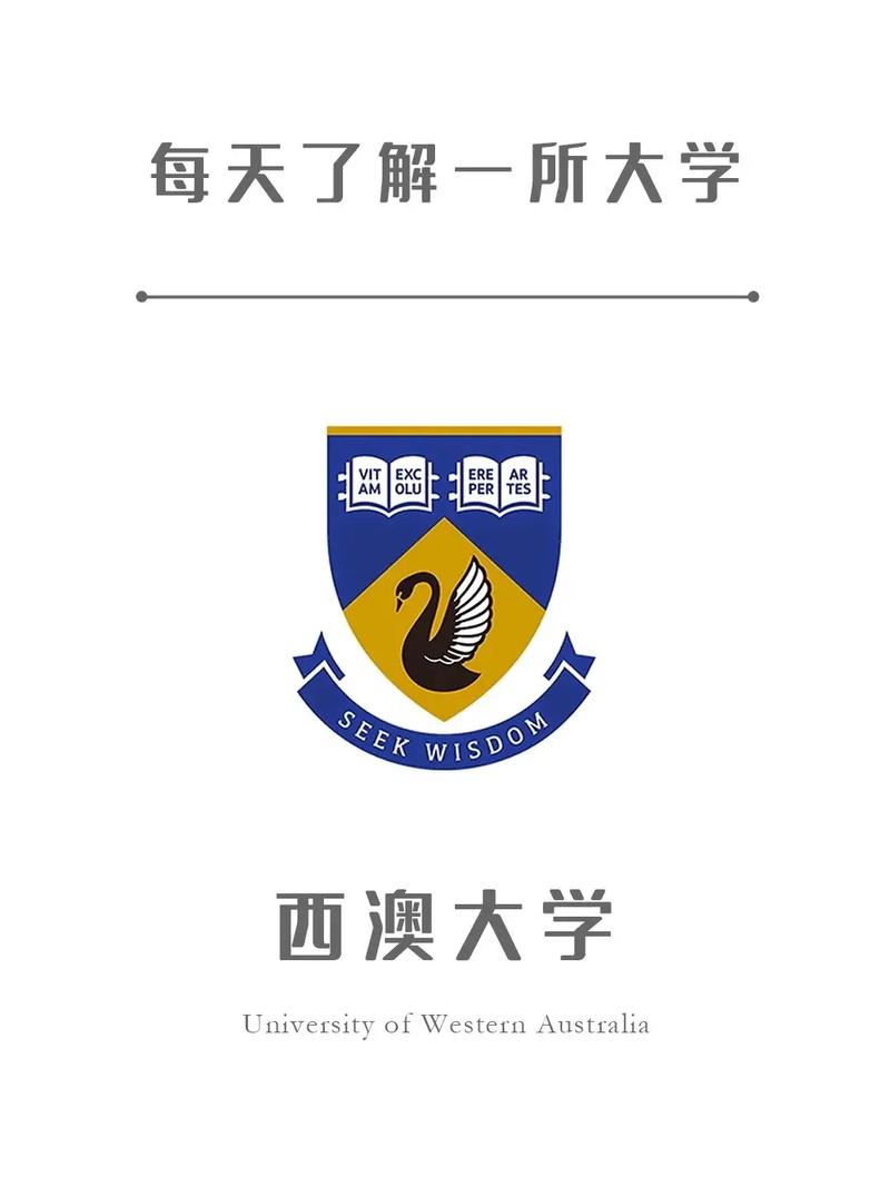 西澳的大学有哪些