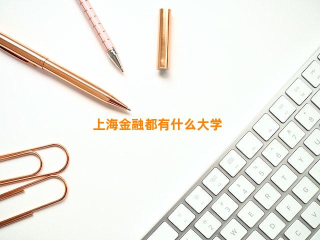 上海金融都有什么大学