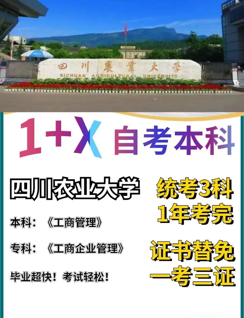 自考大学是怎么回事