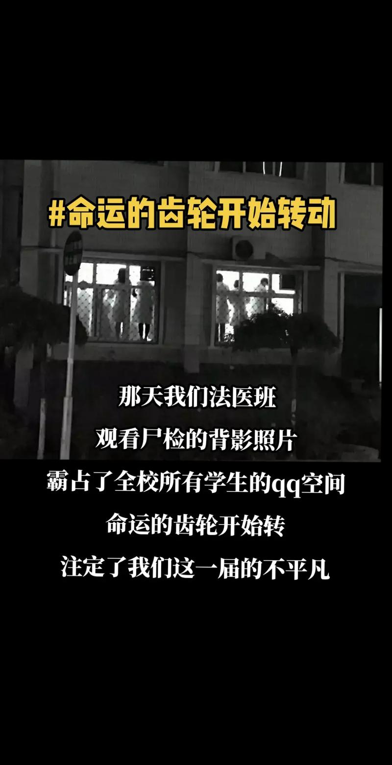 法医大学上什么