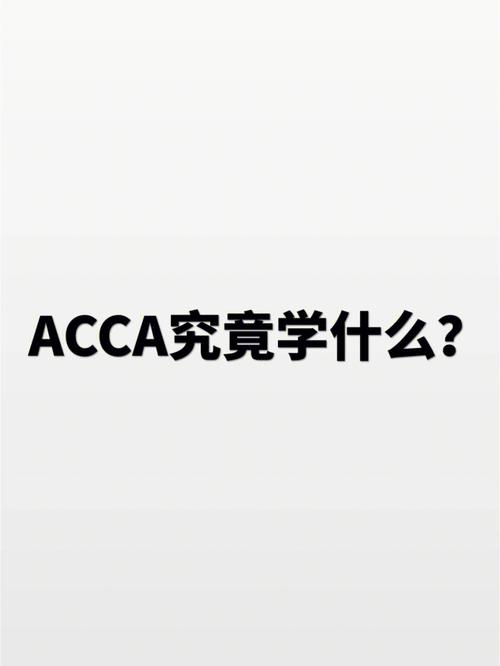 什么专业学acca