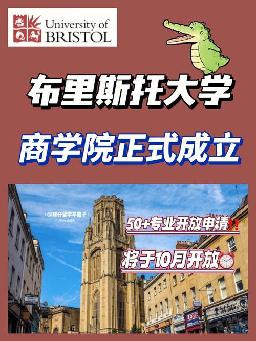 布里斯托大学商学院怎么样