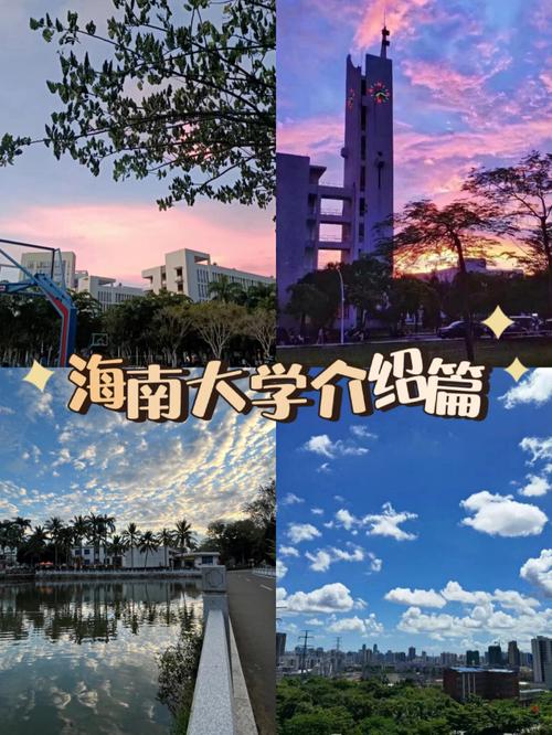 海南大学怎么