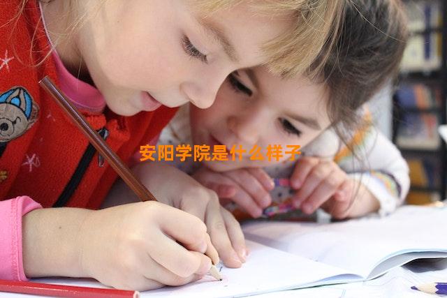 安阳学院是什么样子