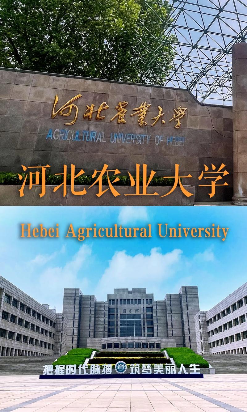 河北省大学有哪些大学