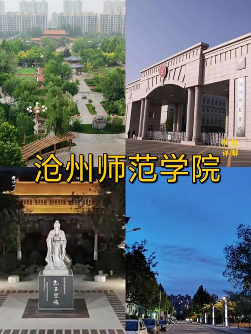 沧州有什么公办大学