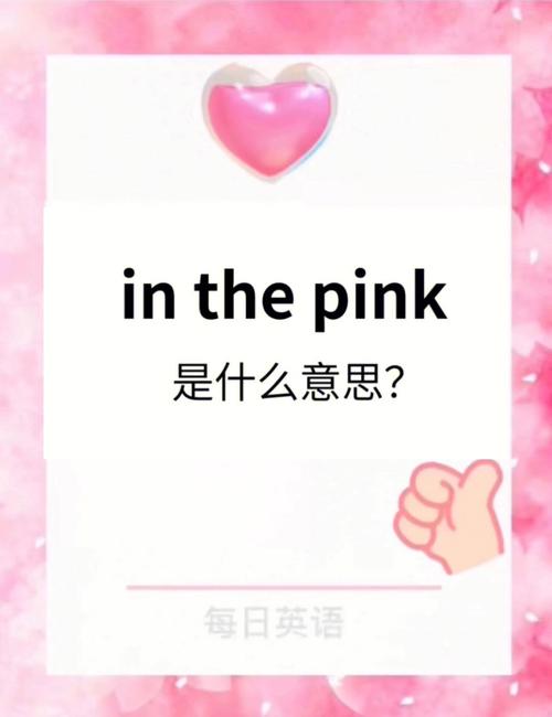 jinad英语是什么