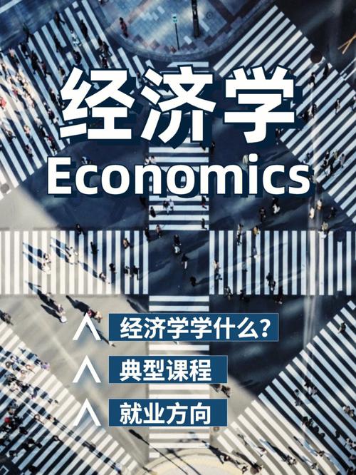 economic是什么专业